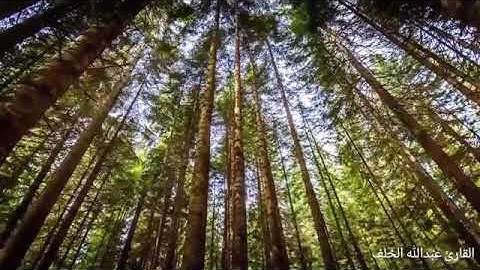 ٣٥- سورة فاطر - بصوت القارئ عبدالله الخلف 1437