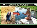 From Mud to Glory  - Remarkable Transformation to an Organic Pool