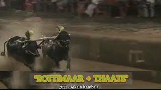 Thaate Bottimar Golden Pair Aikalabava Kambala 2013