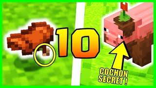 10 Secrets Top Secrets Sur Le Cochon Minecraft 1.17