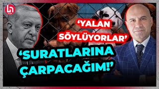 Erdoğan'ın 'Sokak Hayvanları' planına, Turhan Çömez'den flaş tepki!