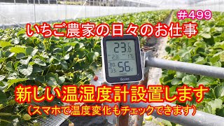 新しい温湿度計設置します（スマホで温度変化もチェックできます）　いちご農家の日々のお仕事　＃４９９