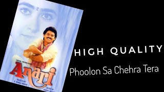 Phoolon Sa Chehra Tera | Anari (1993)- Anand-Milind & Udit Narayan | HIGH QUALITY & 5.1