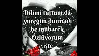 Seni̇ Beni̇m Kadar Seven Olmazki̇ .