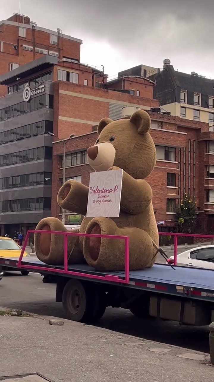 Giant Bear With Valentine's Message || ViralHog