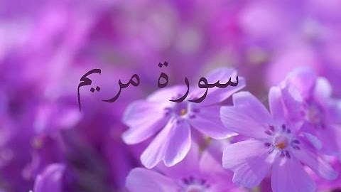 سورة مريم 19