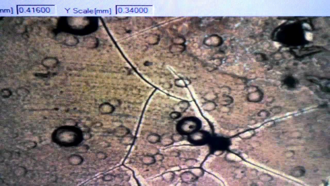 hydrogen embrittlement