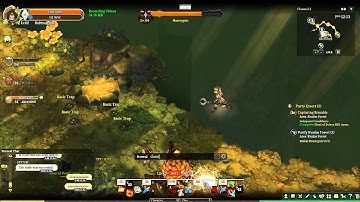 Tree of Savior Bug - The boss offed me from the battle