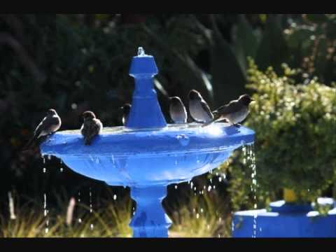 عبد الباسط عبد الصمد حوار نوح مع ابنه سورة هود