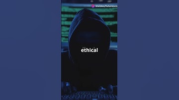 Why Do Companies Pay Hackers Millions?