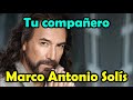 Marco antonio solis  tu compaero  letra bella romantica