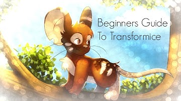 Beginners Guide To Transformice