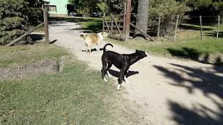 POR QUÉ MAGDALENA ES UNA CIUDAD DE LA PROVINCIA DE BUENOS AIRES, ARGENTINA, QUE TENES QUE CONOCER