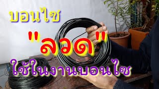 บอนไซ : ว่าด้วย"ลวด"ที่ใช้ในงานบอนไซ,มีกี่ชนิด,เบอร์อะไร?บ้าง