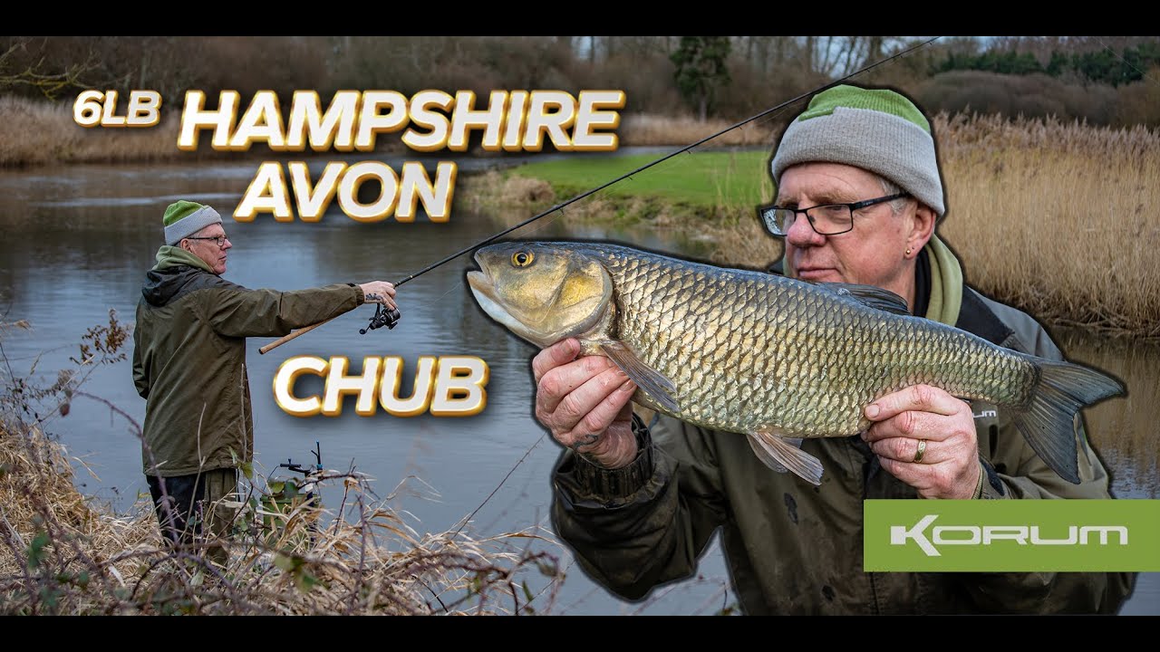 HUGE CHUB -  Hampshire Avon