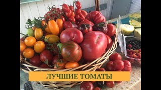 видео: Дачные сезоны  18.08.18. Выбираем самые вкусные томаты картинка: Дачные сезоны  18.08.18. Выбираем самые вкусные томаты