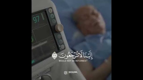 أفحسبتم أنما خلقناكم عبثاً | القارئ إسلام صبحي | تلاوة خاشعة من سورة المؤمنون | حالات واتس اب دينية