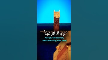 و ترى كل امة جاثية تلاوة جميلة بصوت مريح من القرآن الكريم #قران #قرآن #تلاوة #كرومات #الله #quran