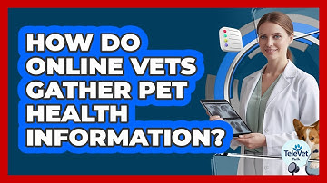 How Do Online Vets Gather Pet Health Information?