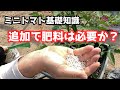 【ミニトマト基礎知識】追加で肥料は必要か？