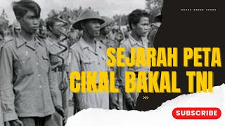 Sejarah PETA: Cikal Bakal TNI