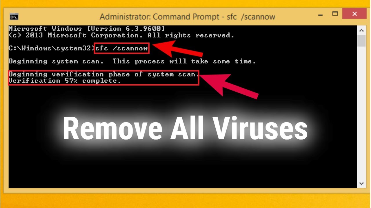 remove worm virus using cmd