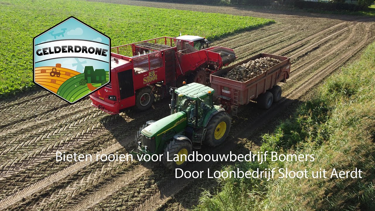 Bietencampagne 2023 | Bieten rooien voor Landbouwbedrijf Bomers Door Loonbedrijf Sloot uit Aerdt