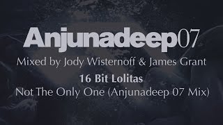 16 Bit S - Not The Only One Anjunadeep 07 Mix - Anjunadeep 07 Preview