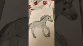 Art transformation in one year #art #drawing #horse