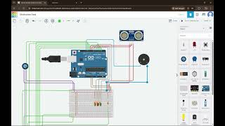D1 Task Video Presentation