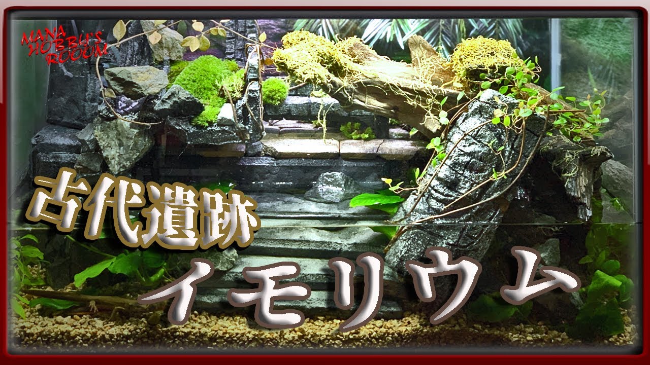 イモリウム古代遺跡 Ff ドラクエの世界観再現 Newt Aquarium Complete View Of The World Like Finalfantasy Dragonquest Youtube