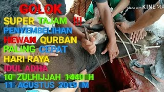 PENYEMBELIHAN HEWAN QURBAN HARI RAYA IDUL ADHA 1440 H / 2019 M