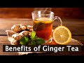 Benefits of Ginger Tea: 8 Health Benefits of Ginger Tea