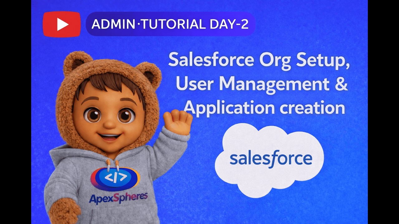 Salesforce Org setup