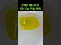 우리집 배수구를 지켜주는 새싹 덮개 #배수구덮개 #냄새차단 #벌레차단 #배수구트랩
