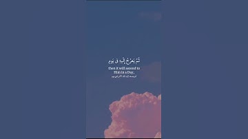 يدبر الأمر من السماء إلى الأرض القارئ  عبد الرحمن مسعد