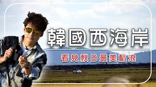2025【韓國西海岸6大跳島亮點】穿越全球最長海堤，看見秋日最美稻浪！｜仙遊島／烏耳島／Korea／Gunsan／Seonyudo／Jeonbuk｜#廖科溢