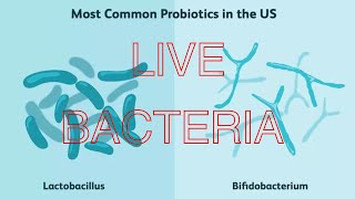 Probiotics Probiotic For Gut Health Prebiotics Capsule Weight Manage Probiotyki Na Jelita