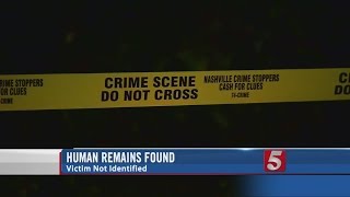 Human Remains Found In Antioch