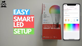 Sengled Smart WiFi LED Setup. No Hub Required