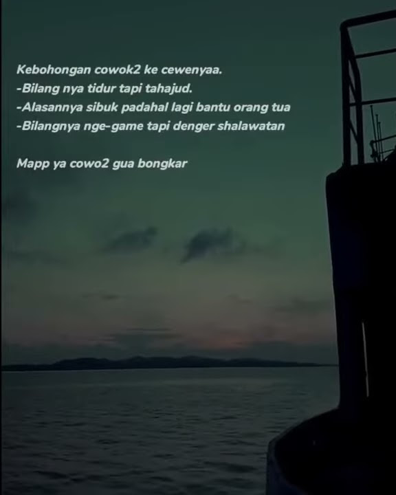 STORY WA 30 DETIK kebohongan seorang lelaki kepada cewek||•Johan Choi 