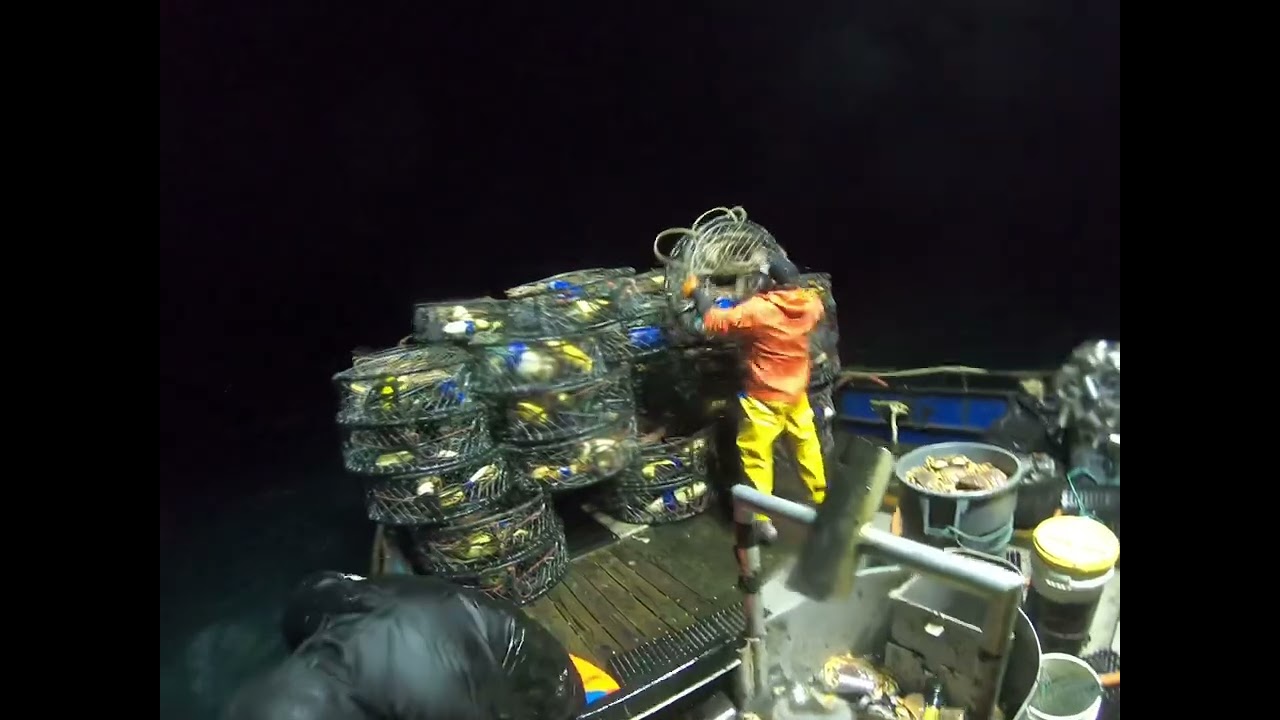 21/22 commercial crab season on lady Nancy!