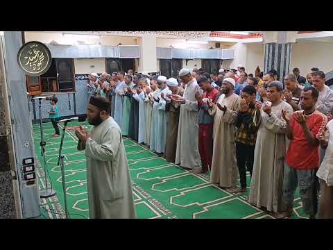 تلاوة من صلاة التراويح للشيخ محمود السيد ماتيسر من سورة إبراهيم مع دعاء الوتر  تلاوة من صلاة التراويح للشيخ محمود السيد ماتيسر من سورة إبراهيم مع دعاء الوتر