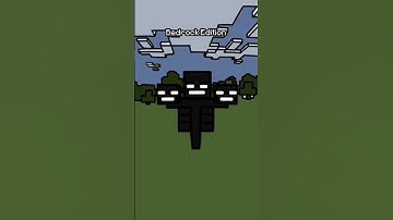 Java VS Bedrock Wither #shorts
