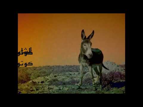 العكر الفاسي فوق الخنونة
