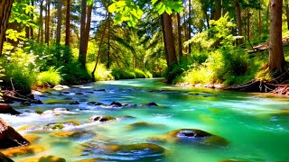 Stress Relief Music 🌙 Beautiful Relaxing Sounds for Sleep, Anxiety &amp; Overthinking