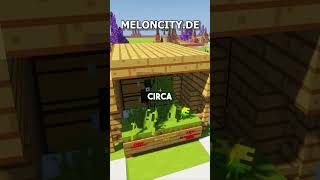Ein SCAMMER weniger! 👍 #minecraft #minecraftserver #meloncity