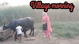 My Morning Routine With Easy Breakfast Daily Routine Countryside Vlog Pakistanvlog