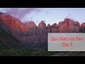 Large Format Landscape Photography in Zion National Park: Day 3