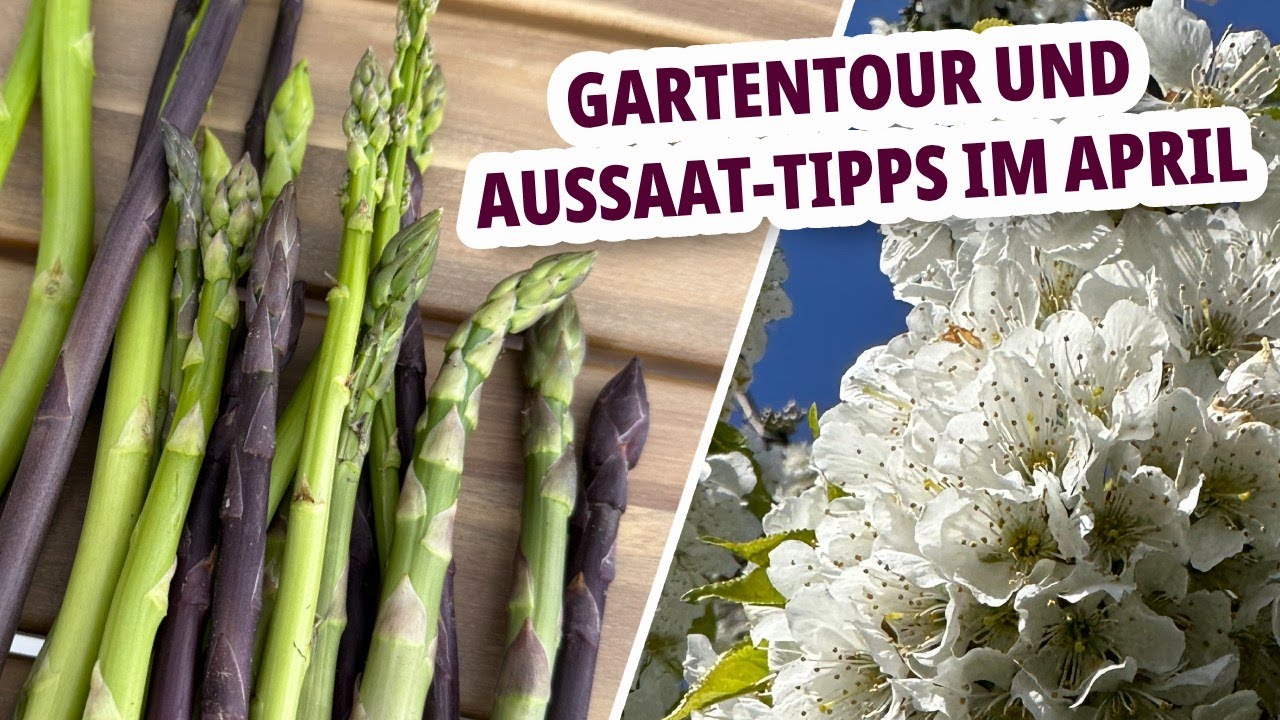 Gartentour und Aussaat-Tipps im April - was kann ich säen und ernten?